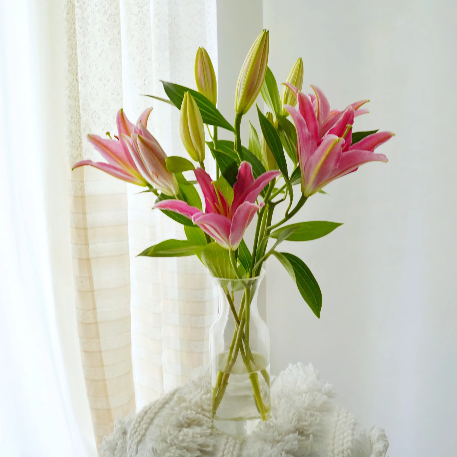 Oriental Pink Lilies - 5 Stems
