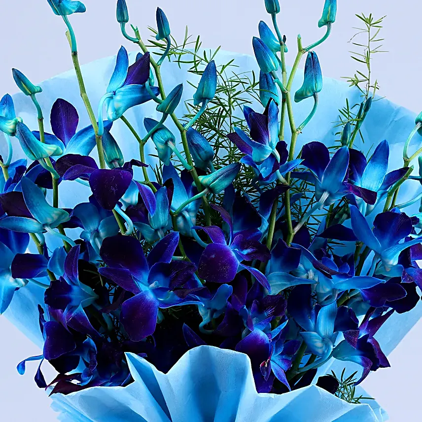 Mesmerising Blue Orchids Bouquet