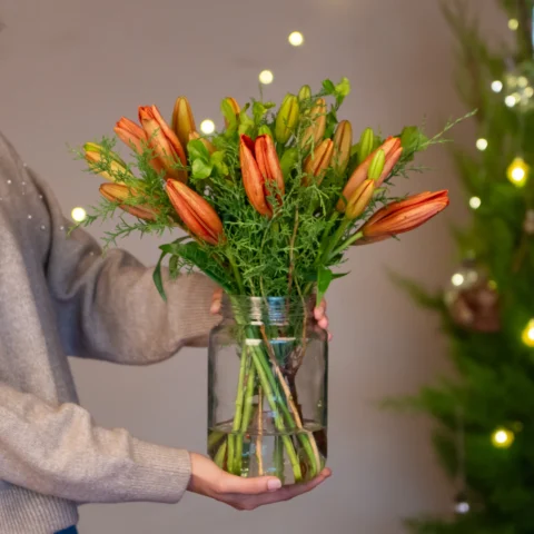 Brighten Red Lilies - 8 STEMS