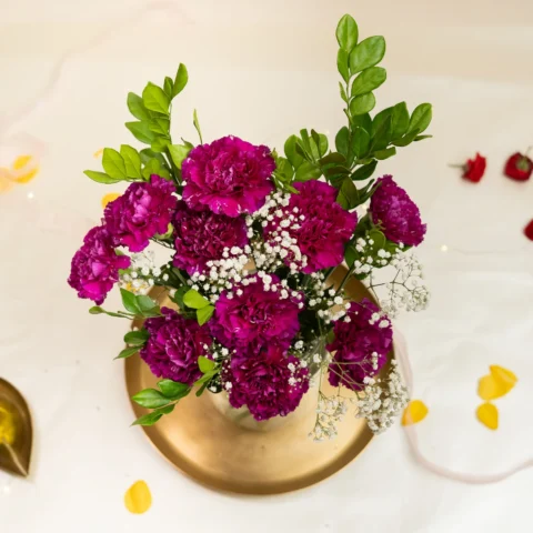 Mulberry Purple Carnation