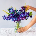 Purple Orchids -10 STEMS